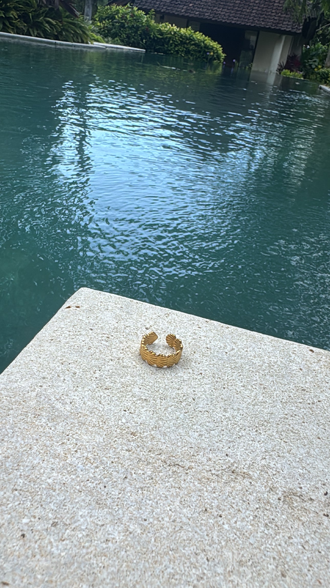 Shell Ring