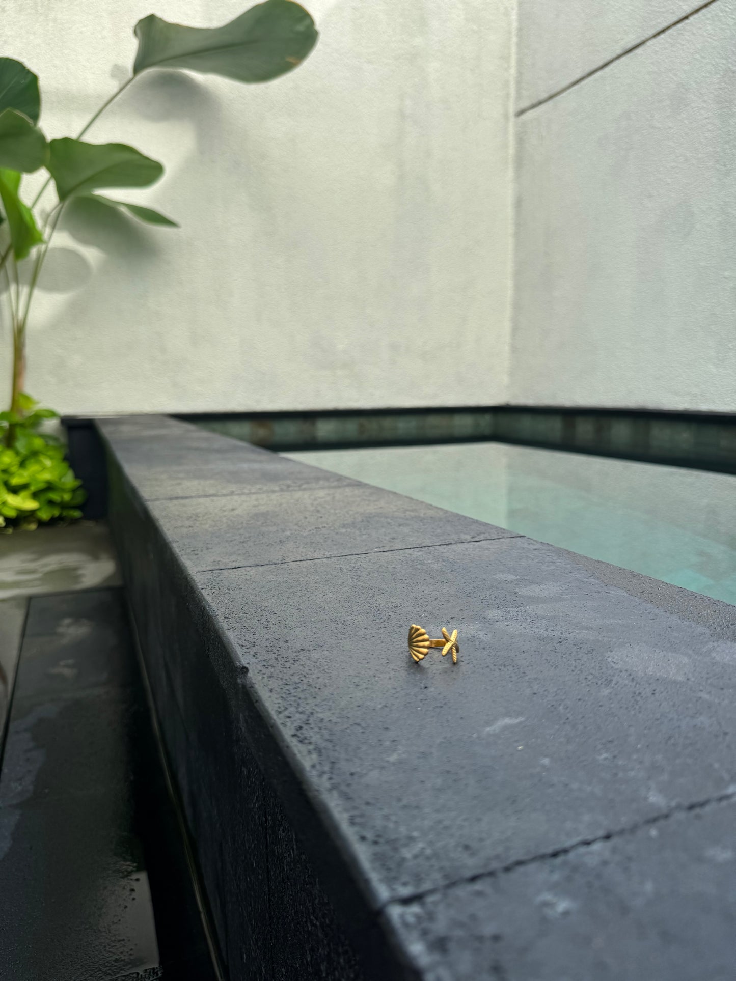 Ocean Ring