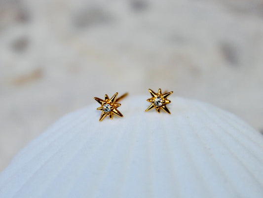 Starlight Stud Earrings