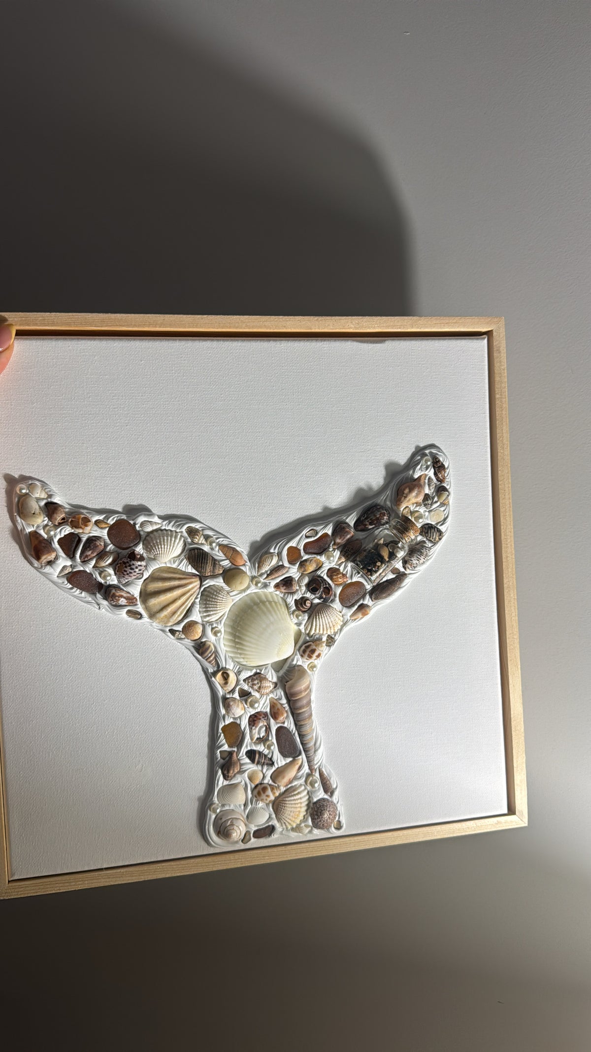 Coastal Treasure - Natural Whale Tail 🐚