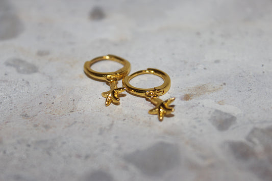 Starfish Hoop Huggie Earrings