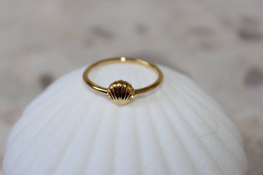 Simple Shell Ring